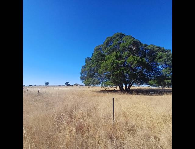 8.50HA VACANT LAND FOR SALE IN WITKOP